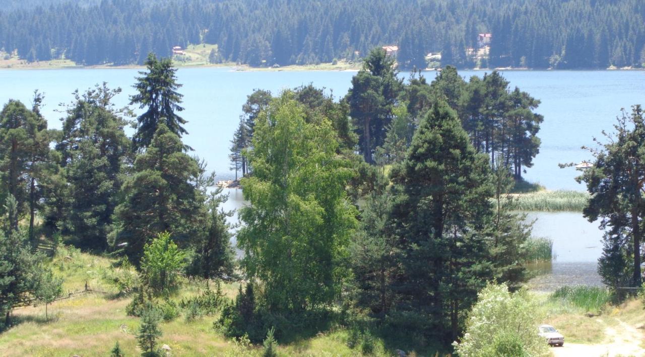 Family Hotel Panorama Сырница Экстерьер фото