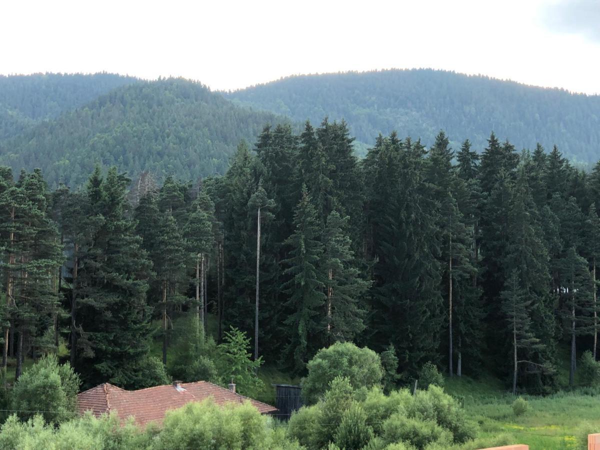 Family Hotel Panorama Сырница Экстерьер фото